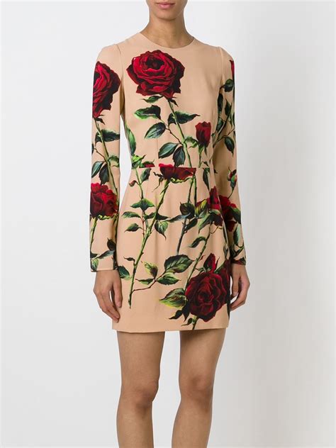 dolce gabbana vestito rose|dolce gabbana rose print dress.